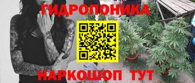 дмт Будённовск